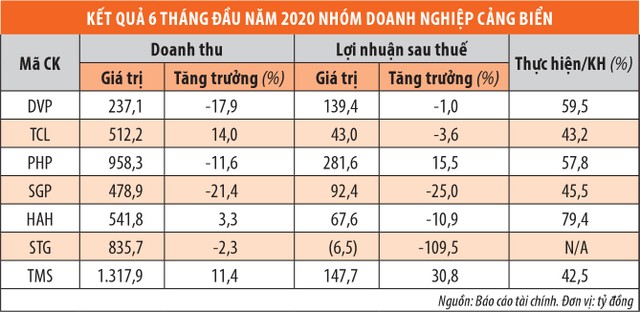 Cổ phiếu cảng biển, tìm cơ hội trong thách thức ảnh 1
