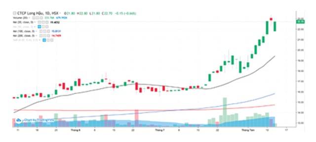 Cổ phiếu LHG tăng nóng, dòng tiền bỏ qua nỗi lo  ảnh 1