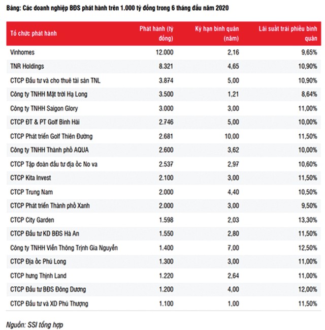 Phát hành trái phiếu doanh nghiệp tiếp tục nở rộ  ảnh 2