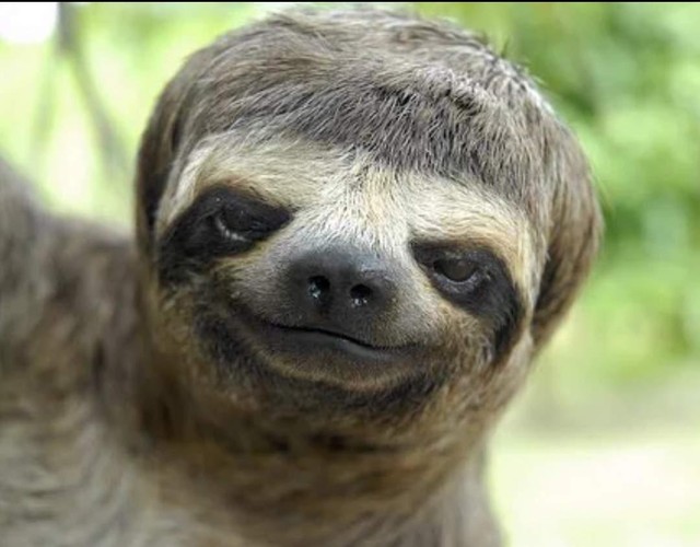 Luôn vui tươi trong mọi hoàn cảnh.