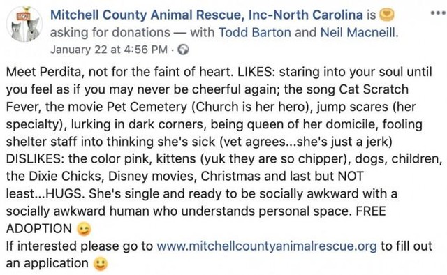 Dòng thông báo được đội cứu hộ đồng vật đăng tải trên facebook gây bão trong cộng đồng mạng.