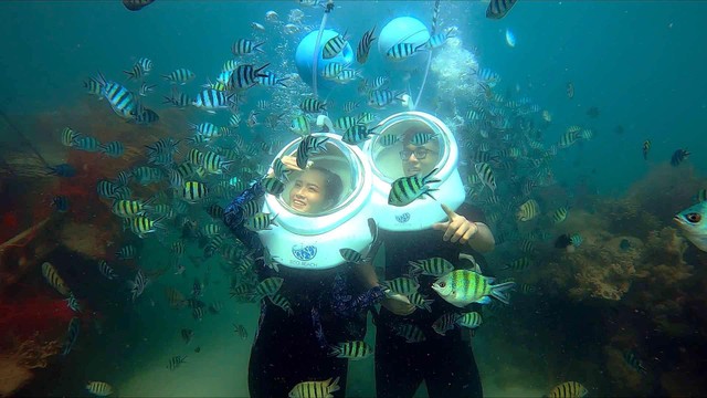 Du khách thích thú với trải nghiệm đi bộ dưới đáy biển tại Eco Beach, Hòn Thơm.