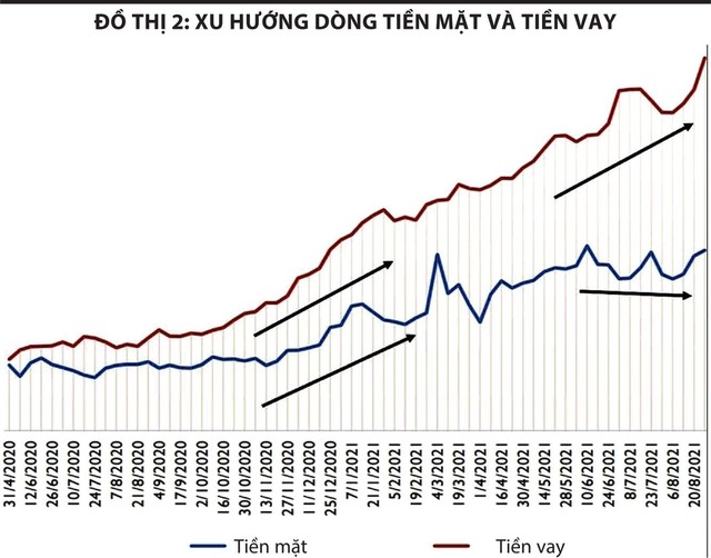 Đồ thị 2: Xu hướng dòng tiền mặt và tiền vay.