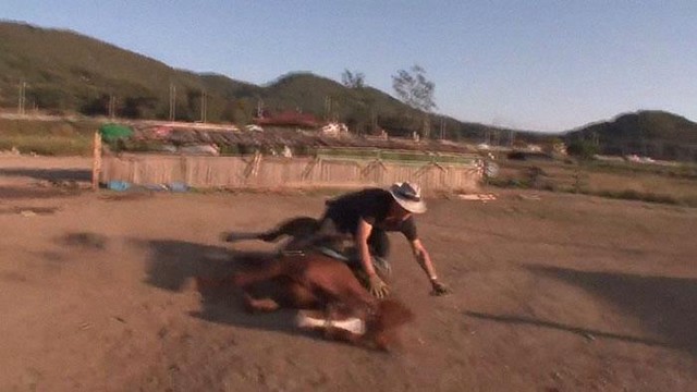 Là căn bệnh của Jingang lại tái phát.