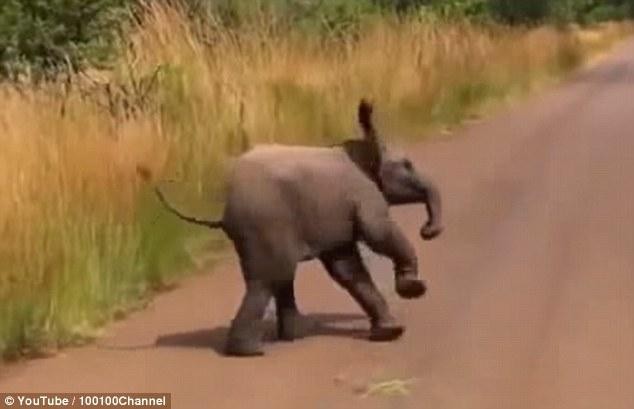 Nhưng mà người ta chưa kịp sợ thì bản thân mình đã sợ trước...