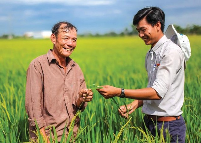 Hoạt động cùng nông dân thăm đồng của các kỹ sư nông nghiệp Tập đoàn Lộc Trời.