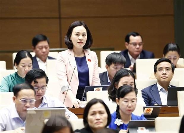 Đại biểu Quốc hội tỉnh Ninh Bình Trần Thị Hồng Thanh phát biểu. (Ảnh: Doãn Tấn/TTXVN)