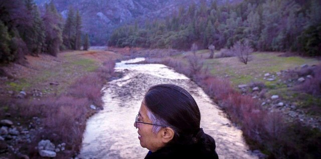 Dòng sông McCloud.