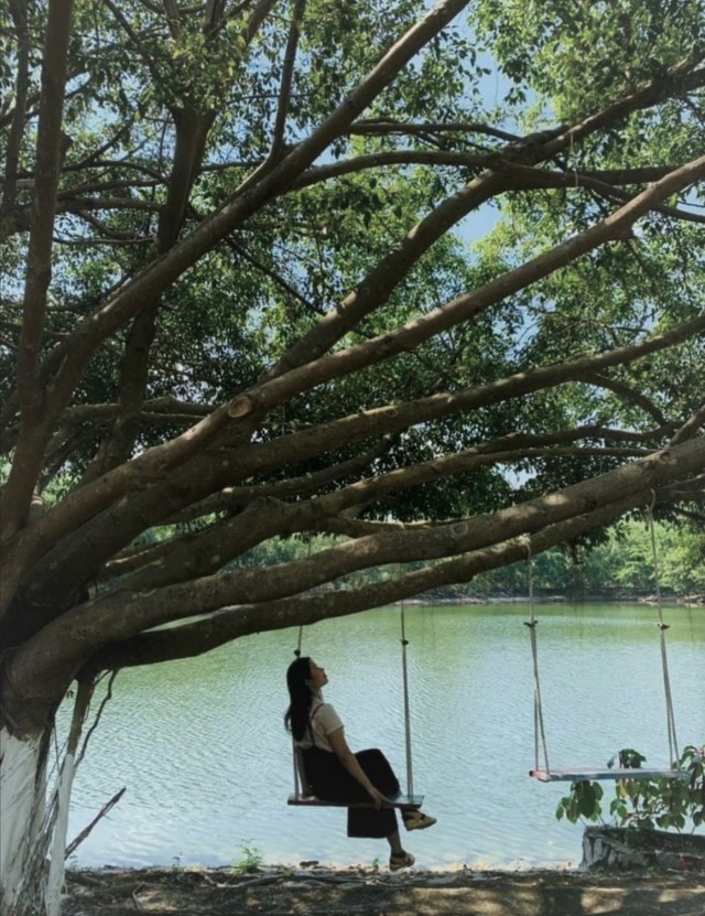 Về Tức Dụp, hòa trong bất tận mùa xanh…