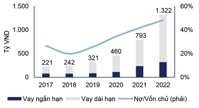 Cơ cấu nợ vay của HAH.