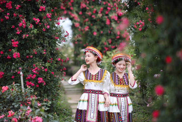 Lễ hội hoa hồng tại Sa Pa thu hút du khách. Lễ hội hoa hồng tại Sa Pa thu hút du khách.