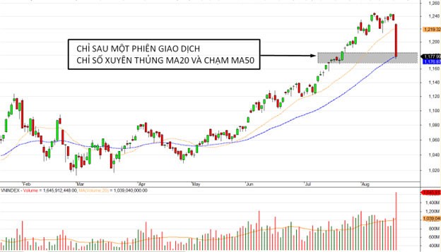 Diễn biến chỉ số VN-Index.