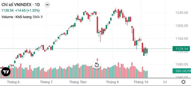 Diễn biến chỉ số VN-Index.