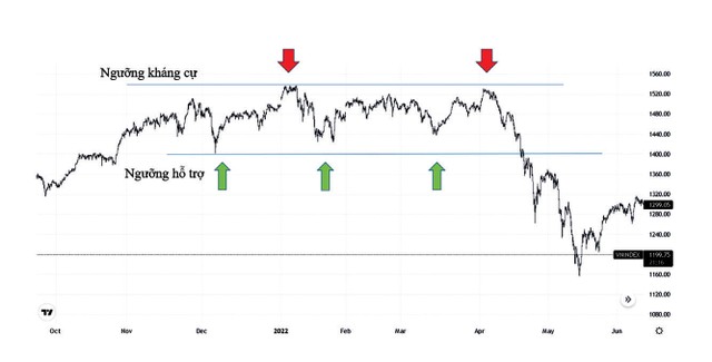 Thị trường răng cưa giai đoạn cuối 2022, đầu 2023.