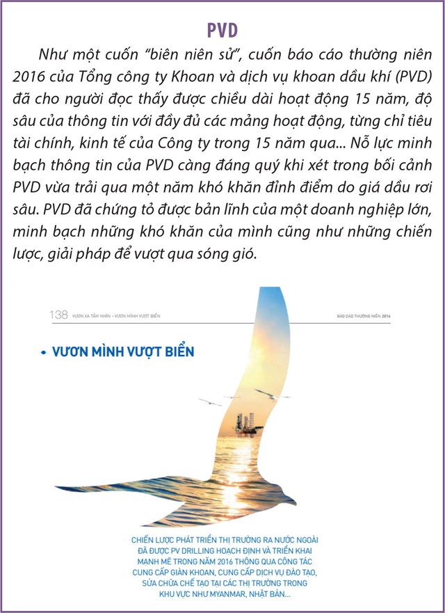 Những ấn tượng đẹp mùa báo cáo thường niên 2016 ảnh 12