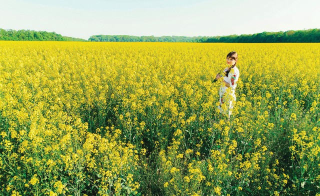 Ngân hàng Việt: Hướng tới chuẩn mực hoạt động mới ảnh 24