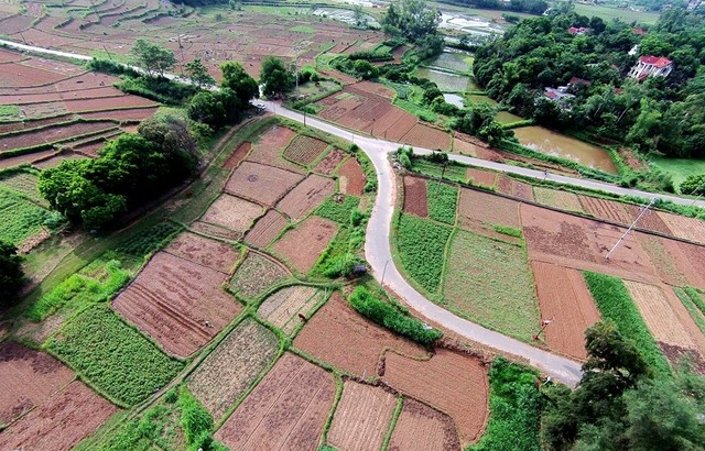 Địa ốc 7 ngày: "Ông chủ" Prosimex khuyên khách hàng đừng mua sản phẩm của công ty ảnh 3