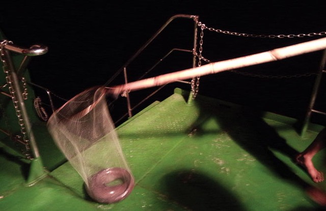 Biển Đông, những ngày tháng Năm - Kỳ 4: Câu cá đêm ở Trường Sa ảnh 1 Biển Đông, những ngày tháng Năm - Kỳ 4: Câu cá đêm ở Trường Sa ảnh 1