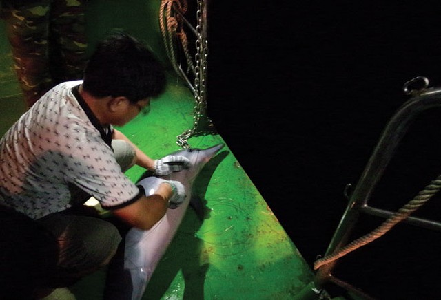 Biển Đông, những ngày tháng Năm - Kỳ 4: Câu cá đêm ở Trường Sa ảnh 3 Biển Đông, những ngày tháng Năm - Kỳ 4: Câu cá đêm ở Trường Sa ảnh 3