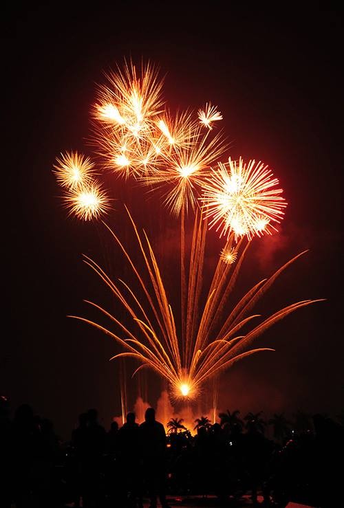 12421462-949757791726215-12355-3685-5533