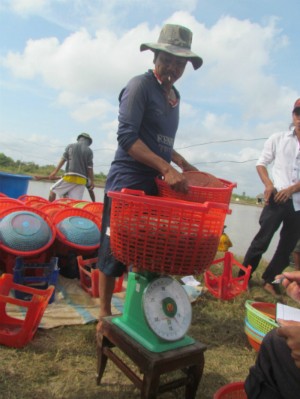 thu-tram-trieu-nho-nuoi-tom-lot-bat-1