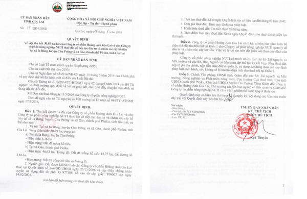 Hoàng Anh Gia Lai liên tục bị thu hồi dự án ảnh 1