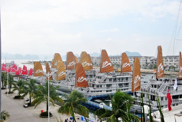 Hạ Long - miền di sản thức giấc ảnh 3