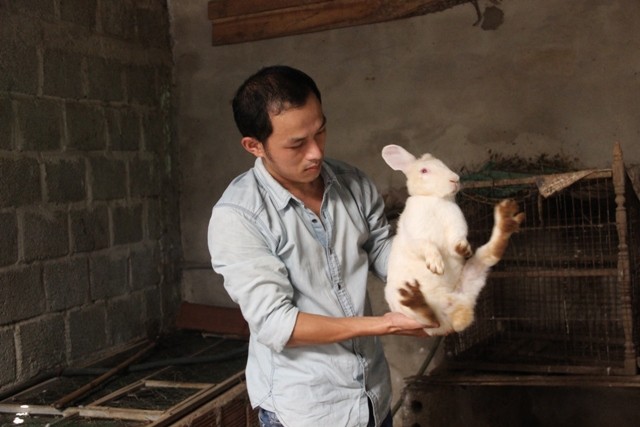Cử nhân đại học về quê nuôi chồn, trồng tiêu, thu nhập trăm triệu ảnh 1