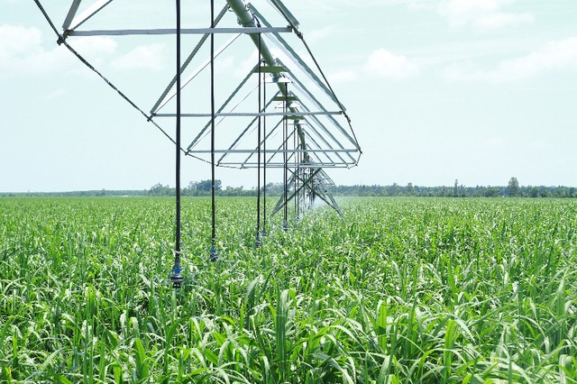 SBT hiện thực hóa ước mơ Đông Dương ảnh 2