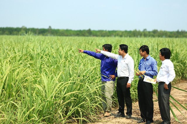 SBT hiện thực hóa ước mơ Đông Dương ảnh 4