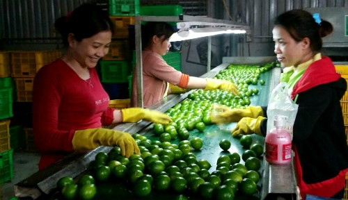 nu-hoang-chanh-khong-hat-mien-tay