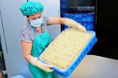 giang-vien-nghi-viec-de-trong-gia-sach-kiem-nua-ty-dong-moi-nam-1