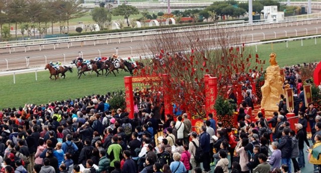 Chợ hoa Quảng Bá vào top điểm đón Tết Nguyên Đán đẹp nhất