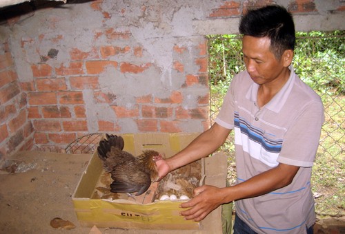 thu-100-trieu-dong-tu-7-qua-trung-ga-rung-1