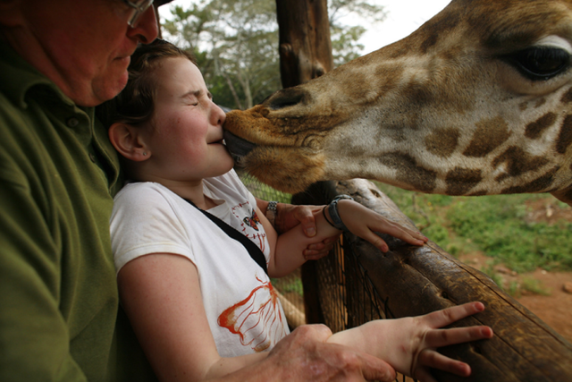 Du khách 'ngã ngửa' vì hươu cao cổ dùng lưỡi khi hôn