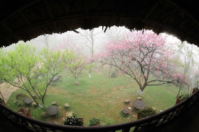 Những cung đường phía Bắc ngắm hoa xuân đẹp mê hồn ảnh 4