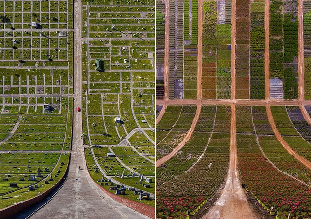 Những con đường nhìn đã thấy chóng mặt ảnh 5