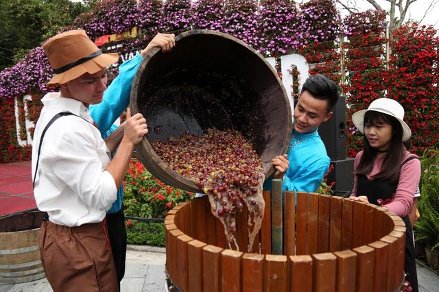 Nhiều màu sắc tại lễ hội rượu vang The Taste of Ba Na Hills 2017 ảnh 3