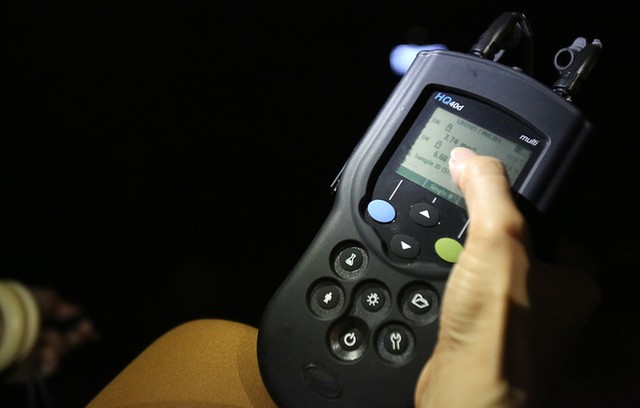 Cá chết la liệt trên mặt hồ Hoàng Cầu ảnh 5