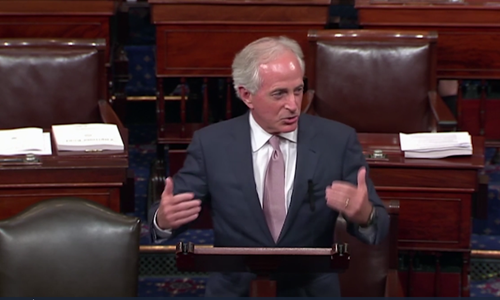 ung-ho-trung-phat-nga-thuong-vien-my-don-trump-vao-chan-tuong-1