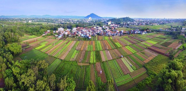 Giao lưu trực tuyến: “Phú Yên – Điểm đến hấp dẫn nhà đầu tư” ảnh 149
