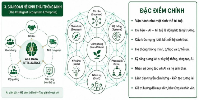 Hình 03: Các bước chuyển đổi của doanh nghiệp – thời đại hệ sinh thái thông minh Hình 03: Các bước chuyển đổi của doanh nghiệp – thời đại hệ sinh thái thông minh