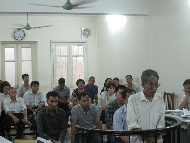 Tổng giám đốc phá vườn cây của người khác để xây biệt thự lĩnh án 4 năm tù ảnh 1