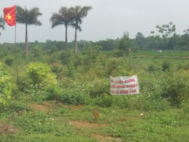 Hà Nội sắp xét xử vụ sai phạm đất đai tại xã Đồng Tâm ảnh 1