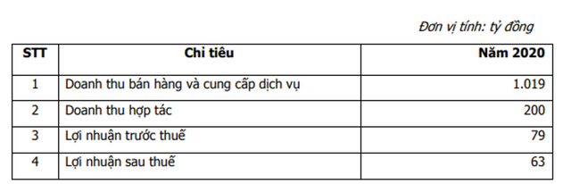 ĐHCĐ Hoàng Quân (HQC): Sẽ đưa cổ phiếu về mệnh giá và chia cổ tức tiền mặt năm 2020 ảnh 1