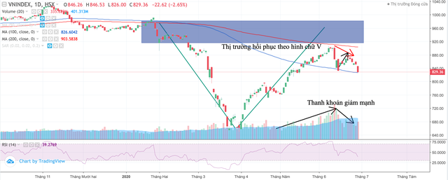 VN-Index giảm gần 8%, có nên bắt đáy? ảnh 1