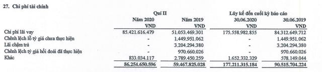 Điện Gia Lai (GEG), quý II/2020 hoàn thành được 44,6% kế hoạch lợi nhuận trước thuế năm 2020 ảnh 1