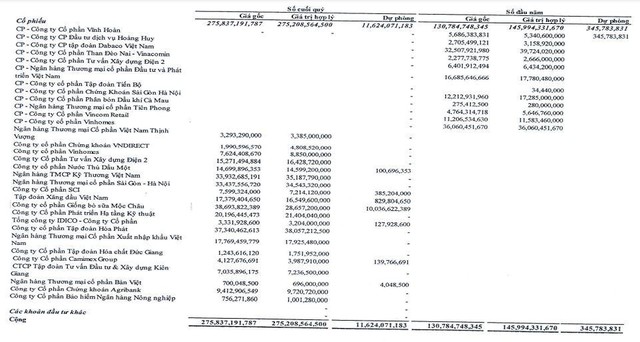 Danh mục cổ phiếu đang nắm giữ của NDN tính tới 30/6/2021