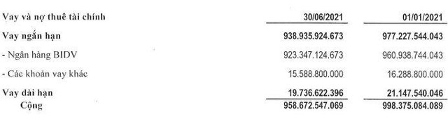 Cơ cấu nợ vay của PHC tới 30/6/2021