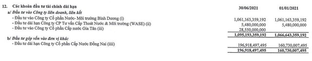 Đầu tư tài chính dài hạn của TDM tới 30/6/2021